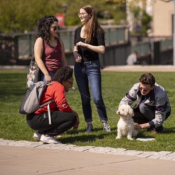 students on the cut petting a dog